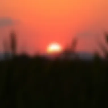 Spiritual Growth and Transformation A vibrant sunset representing spiritual growth.