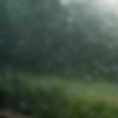 Close-up of raindrops on a window with a soft focus