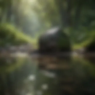 Calming Nature Sounds Nature sounds for calming relaxation