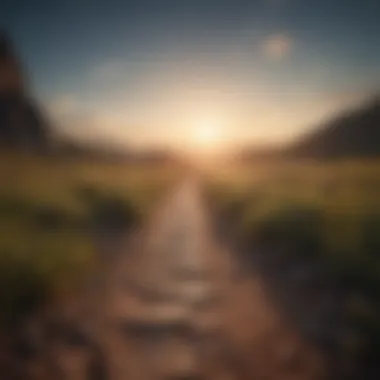 A path leading towards a bright horizon representing growth