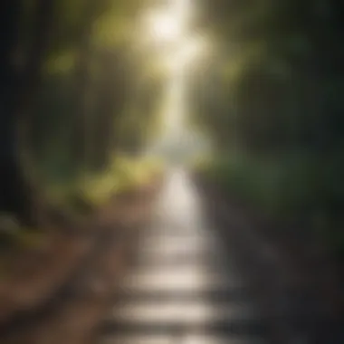 Pathway to Positive Change A pathway leading towards a brighter future symbolizing hope
