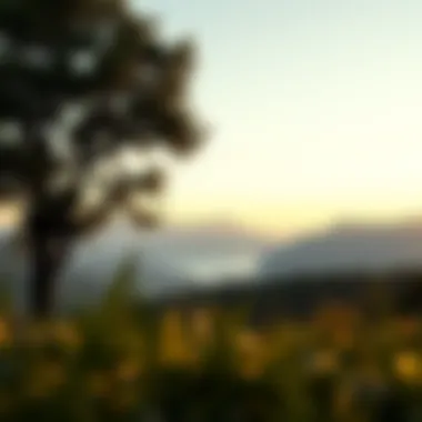 Cultivating Mindful Awareness A serene landscape representing mindful awareness and emotional clarity