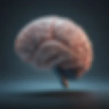 Brain Highlighting Stress Responses A close-up of a brain with highlighted areas representing stress responses and cognitive patterns.