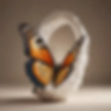 Illustration of a butterfly emerging from a cocoon symbolizing transformation