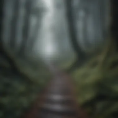 A winding path through a dense foggy forest