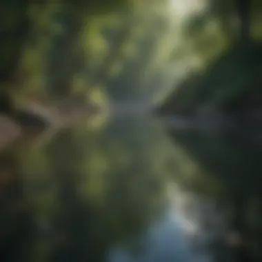 Finding Peace in Nature A calming scene of nature with gentle flowing water reflecting tranquility
