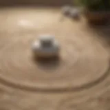 Zen garden with raked sand patterns